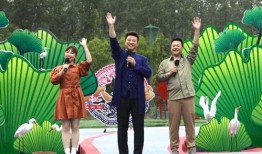 晨光最新爆料新闻报道视频,揭秘视频背后的惊人真相